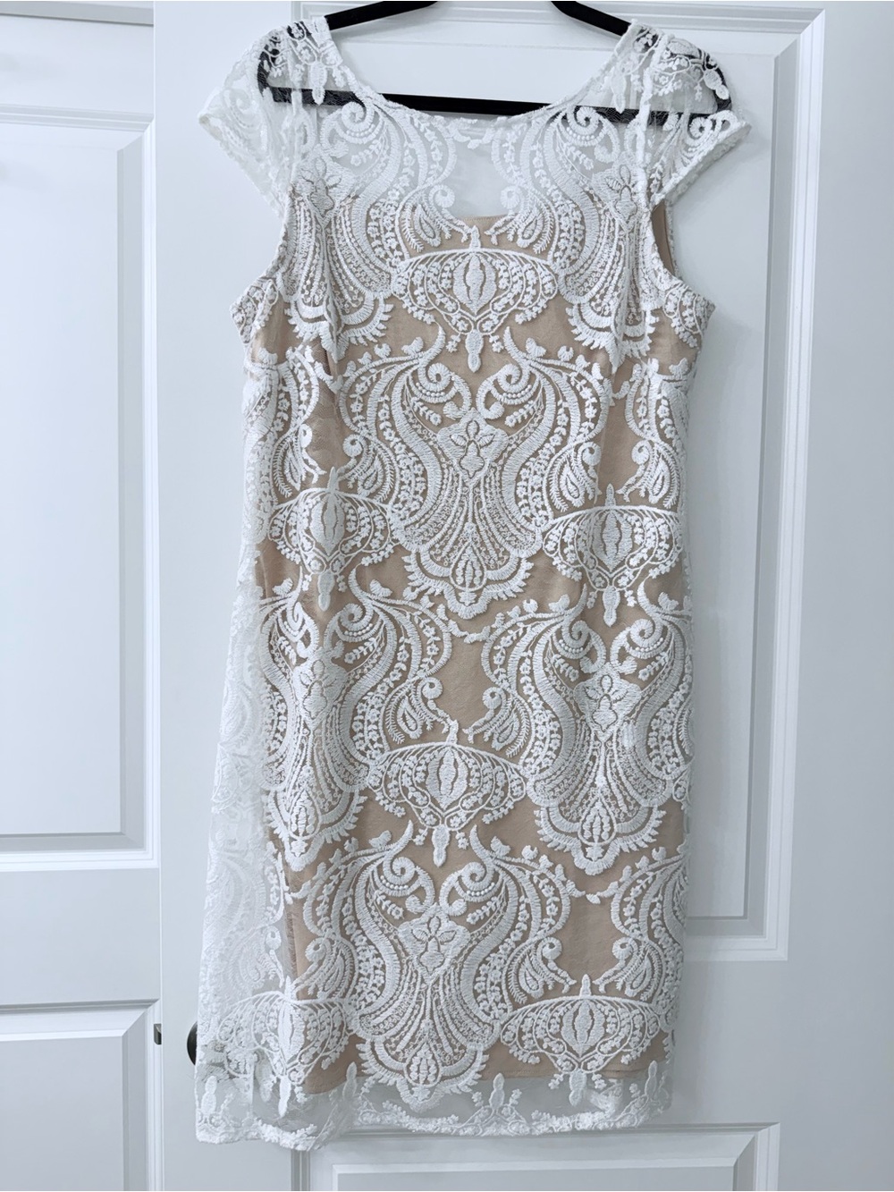 Elegant White Lace Overlay Sheath Dress - Ivory/Nude